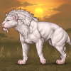 Achromia For Ennedi Vossoko